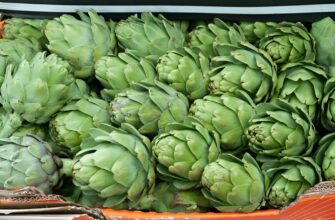 Артишок: Що це, користь для здоров’я та застосування в кулінарії