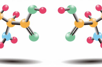 Що таке амінокислоти: ключові функції та важливість для організму