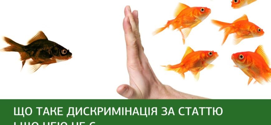 Дискримінація: визначення, види та вплив на суспільство і права людини