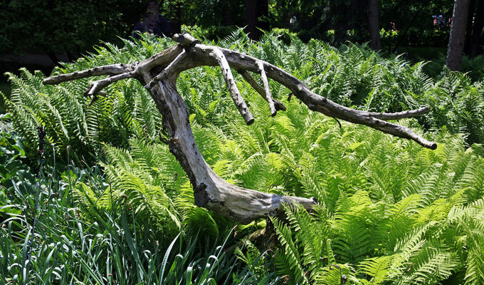 Що таке корчі: вивчаємо причини та способи їх подолання ефективно.
