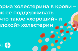 Що таке холестерин: важливий компонент здоров’я чи загроза організму?