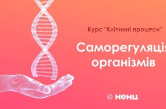 Що таке саморегуляція: ключ до емоційної стійкості та успіху