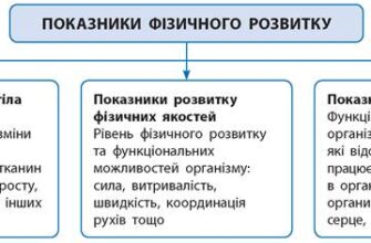 Фізичний розвиток: ключові поняття та його значення для здоров’я