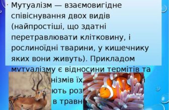 Коменсалізм: визначення, приклади та вплив на екосистеми планети
