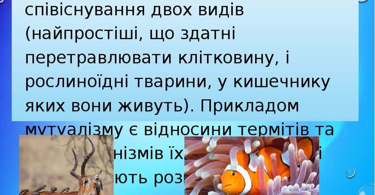 Коменсалізм: визначення, приклади та вплив на екосистеми планети