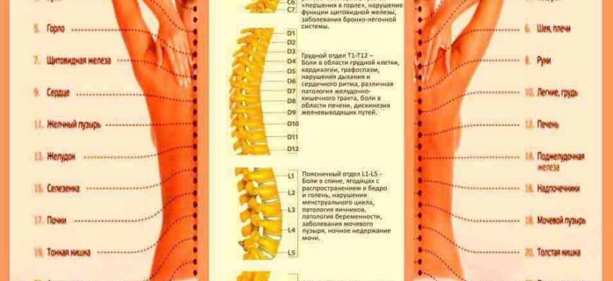 Мануальна терапія: що це таке та як вона допомагає вашому здоров’ю