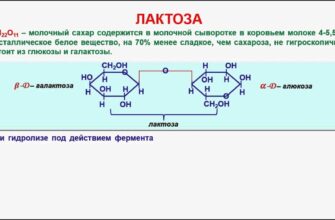 Що таке лактоза: визначення, користь і потенційні ризики споживання