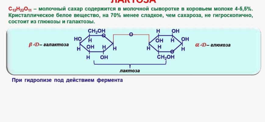 Що таке лактоза: визначення, користь і потенційні ризики споживання