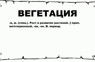Вегетація рослин: що це і як впливає на ріст та розвиток вашого саду?