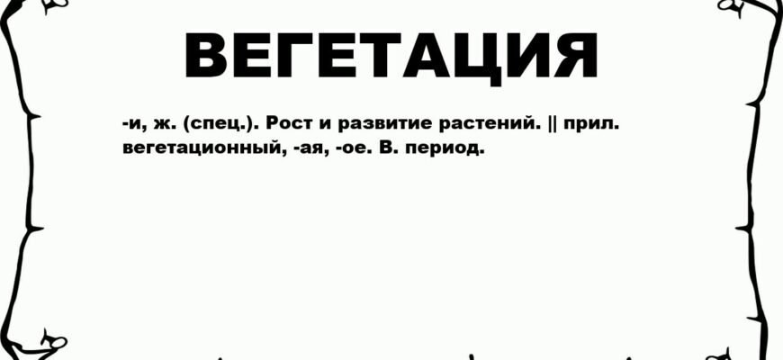 Вегетація рослин: що це і як впливає на ріст та розвиток вашого саду?