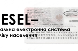 Песель: Що Це Таке та Як Його Використовують у Польщі?