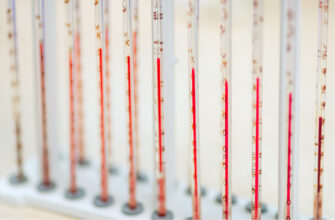 Бешиха: Симптоми, причини та методи лікування небезпечної інфекції