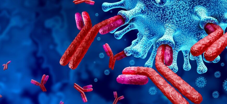 Антитіла: Як Невидима Армія Захищає Ваш Організм Щодня