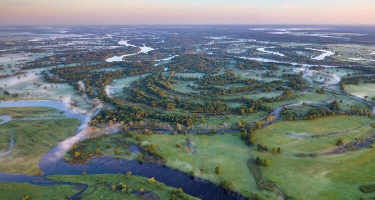 Полісся: Таємничий край лісів та спокою, де природа оживає