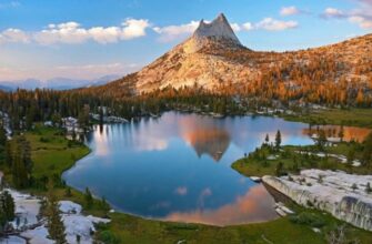 Відкрийте Всесвіт: Розуміння Природи Як Живого Світового Організму