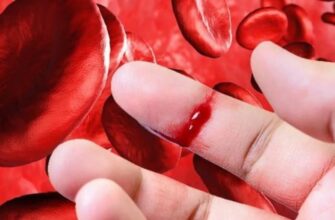 Сонник: Значення Сновидінь з Котами та Їх Символіка для Вас