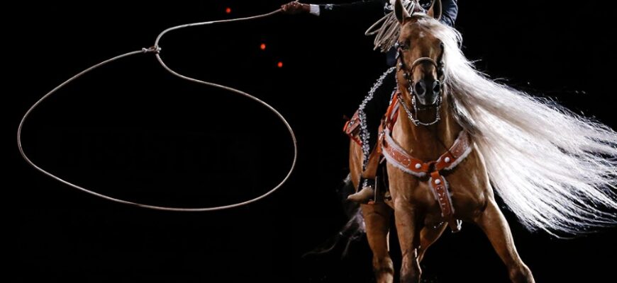 Що таке Аркан: Від витоків до сучасного використання в культурі