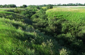 Капа: що це таке та як вибрати ідеальну для ваших потреб?