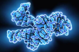 Білок: Що Це Таке та Чому Він Необхідний для Здоров’я Людини?