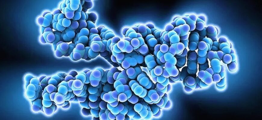 Білок: Що Це Таке та Чому Він Необхідний для Здоров’я Людини?