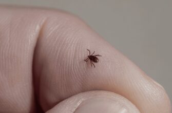 Витрішки: значення, особливості та як з ними впоратися ефективно