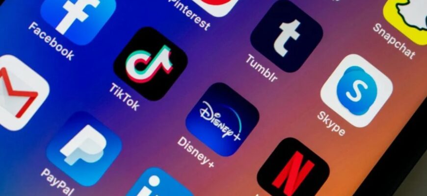 Що таке секатор: Вибір, використання та поради щодо догляду