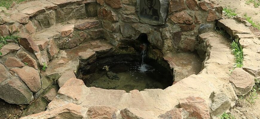 Ідентифікаційний номер платника податків (ІПН): все, що потрібно знати