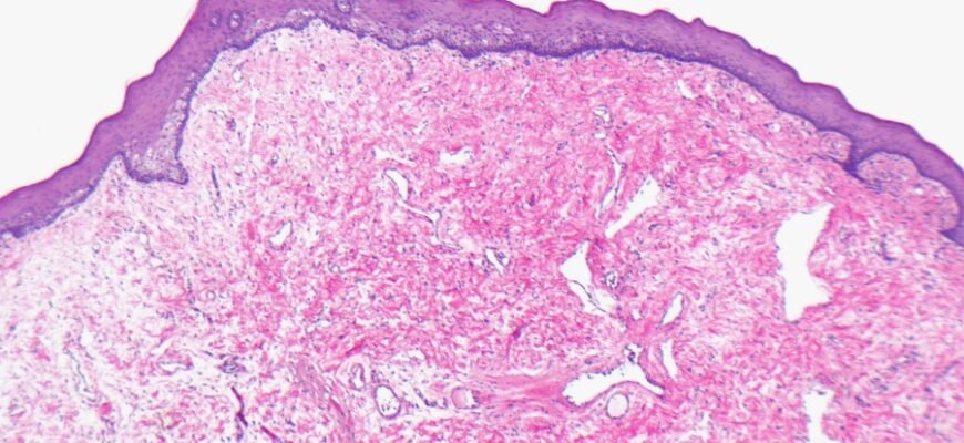 “Роумінг від Київстар: Як користуватись зв’язком за кордоном вигідно”