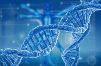 Причастя: значення, особливості та його роль в українській мові