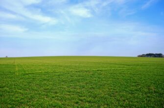 Що таке горизонт: зрозумійте межі видимого світу з наукової точки зору