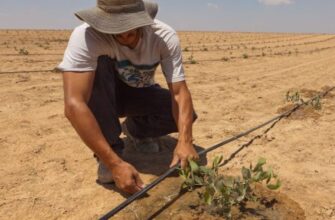 Що таке статус кво: значення, історія та вплив на суспільство
