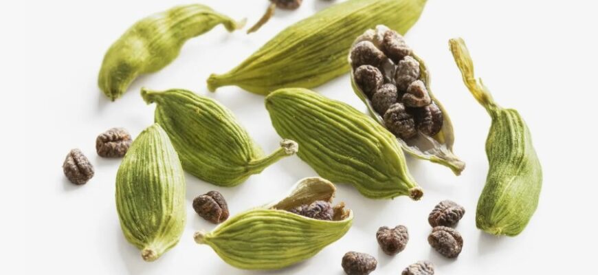 Кардамон: польза, применение и секреты пряности для здоровья