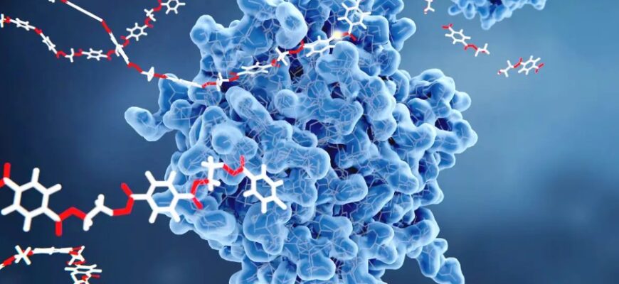 Катализатор: Определение, функции и применение в химии и промышленности