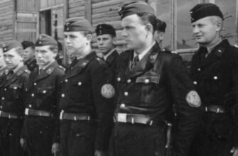 Політична партія: визначення, функції та роль у суспільстві України