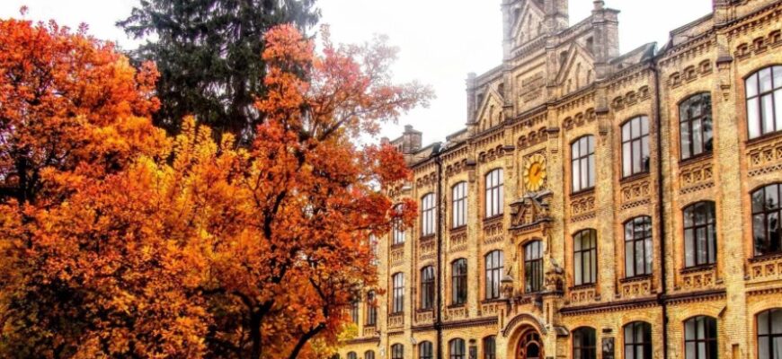 Що таке кодування інформації: важливість та основи процесу в IT сфері