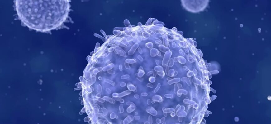 Лімфоцити: основні функції, види та їх роль в імунній системі