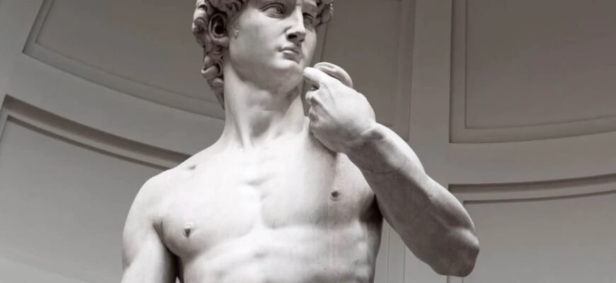 Модрина: Властивості, Використання та Особливості Дерева