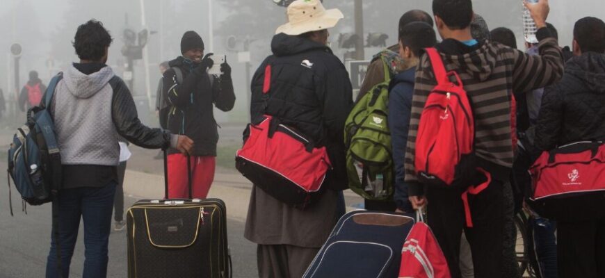Міграція: визначення, причини, види та вплив на суспільство