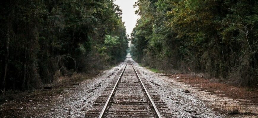 Що таке мотивація: визначення, види і як підтримувати інтерес