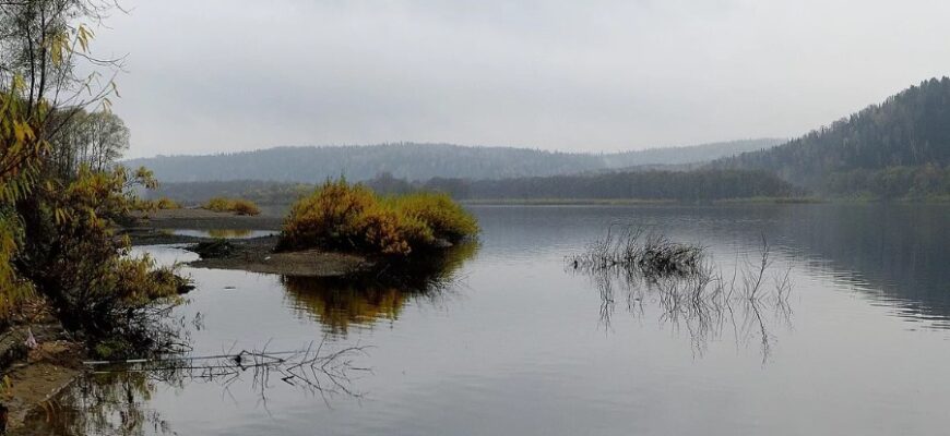 Що таке плесо: визначення, особливості та значення в природі