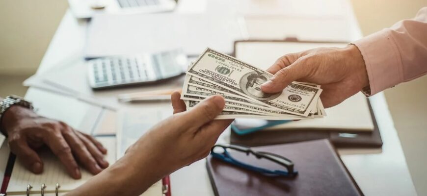 Ялівець: що це таке, види, корисні властивості та застосування