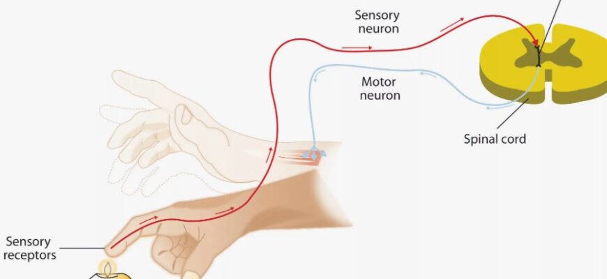 Все, що потрібно знати про IP адресу: визначення та основні функції