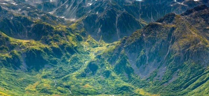 Що таке DNS: Розуміння основ роботи системи доменних імен