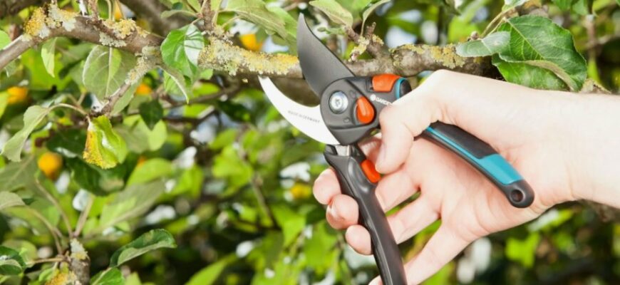 Що таке судоми: причини, симптоми та способи їх лікування