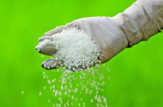 Тонер для обличчя: Що це таке та як обрати ідеальний засіб?