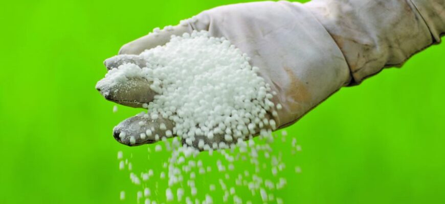 Тонер для обличчя: Що це таке та як обрати ідеальний засіб?