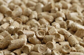 Що таке шрот: визначення, користь та застосування у раціоні