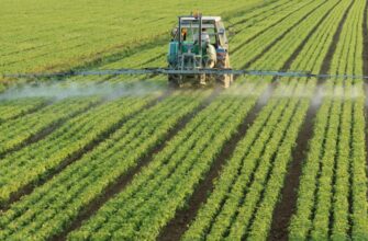 Сільське господарство: Визначення, значення та вплив на економіку України