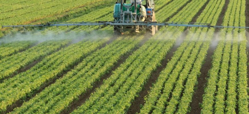 Сільське господарство: Визначення, значення та вплив на економіку України