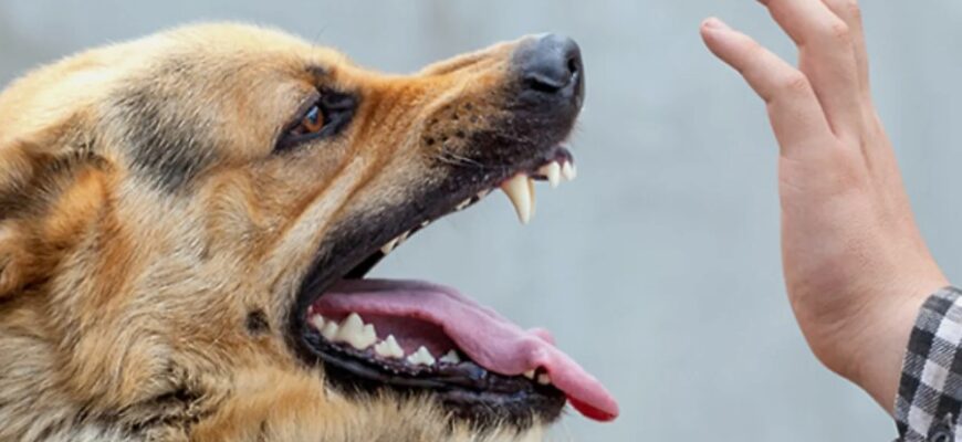 Що таке целюліт: причини, симптоми та методи ефективної боротьби